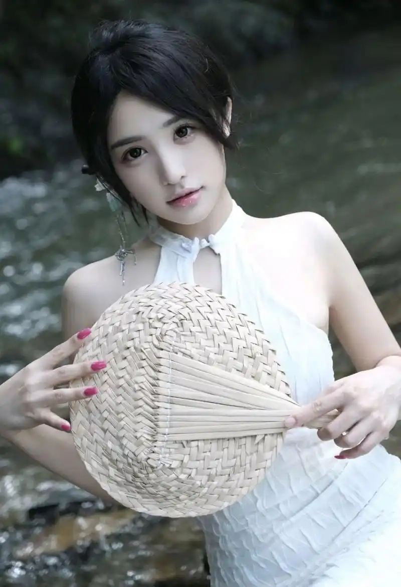 夏日大作战 动画封面